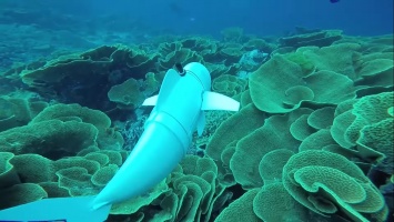Ученые изобрели генератор на морской воде для подводных роботов