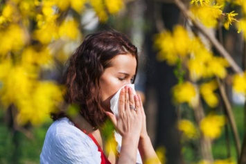 ТОП-3 самых распространенных аллергии среди павлоградцев