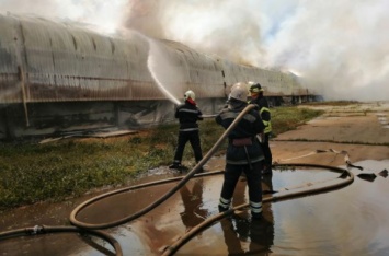 В ГУ ГСЧС рассказали о количестве погибшей птицы в пожаре под Киевом