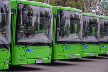 Новые автобусы, купленные в лизинг, будут дублировать «маршрутки» №91, 81 и 51