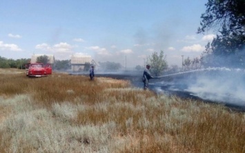 Пожар в Одесской области: сгорела база отдыха