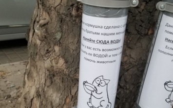 В Запорожской области начали устанавливать кормушки для бездомных животных (ФОТО)
