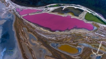 На «Тузловских лиманах» нашли место, где вода окрашена в три разных цвета