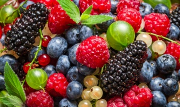 Сколько стоят ягоды на рынках Днепра, Павлограда и Кривого Рога?