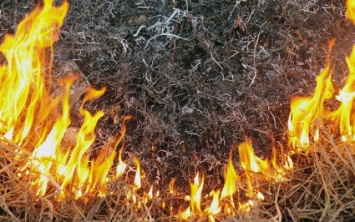 Херсонщина страдает от пожаров