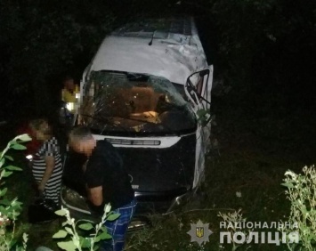 Под Немировым пьяный водитель ВАЗ выскочил на трассу и врезался в "Мерседес" с тремя детьми