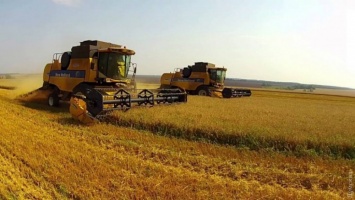 В Одесской области завершается уборка ранних зерновых и зернобобовых: в Придунавье - неурожай
