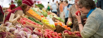 В Киеве проходят продуктовые ярмарки: где купить домашние фрукты и овощи