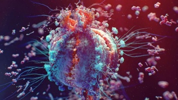Ученые нашли способ убить до 90% раковых клеток без лекарств