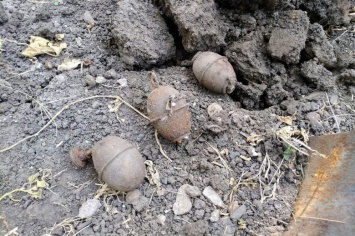 На Днепропетровщине мужчина нашел у себя на огороде 3 гранаты, - ФОТО