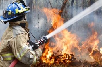 Неконтролируемый пожар поглотил лес на Тернопольщине: видео испепеляющего ЧП