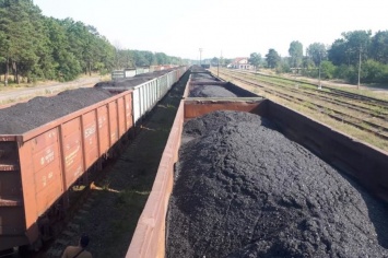 Полиция силой разогнала участников блокады российского угля