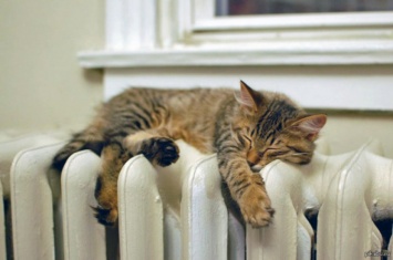 Отопительный сезон: Когда в домах будет тепло и кто может остаться без отопления