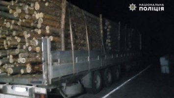 На Луганщине обнаружили нелегальных перевозчиков древесины