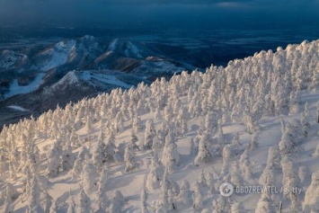 В Украине начало снежить - сразу несколько популярных курортов уже не узнать