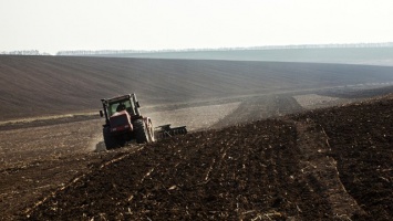 Снижение плодородия и потеря урожая: кто и как истощает украинские почвы