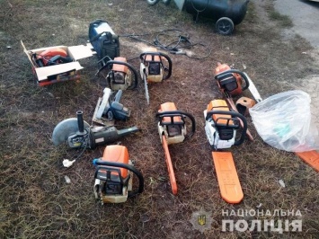 О чем молчат бензопилы: полицейские Черниговщины нашли "ничейную" древесину