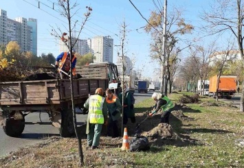 На Виноградаре высадили деревья