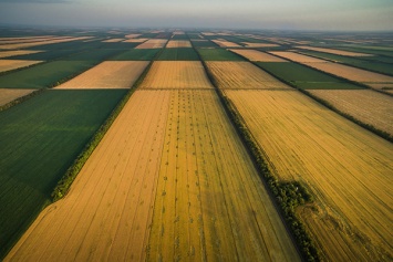 В Киевской области фермер захватил 35 гектаров земли
