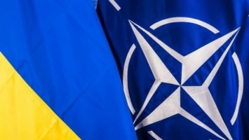 НАТО выделил Украине более 40 млн евро поддержки