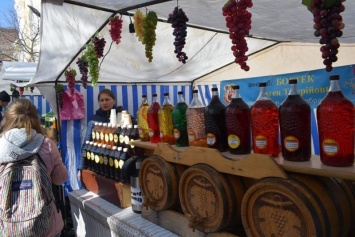 В Запорожской области пройдет фестиваль вина
