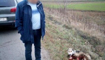 Активисты требуют расследовать издевательство хмельницкого чиновника над собакой