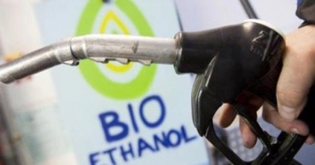 Госэнергоэффективности инициирует установление обязательных квот на биотопливо
