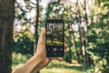 Лес в смартфоне: Оржель рассказал о предстоящих функциях электронного реестра