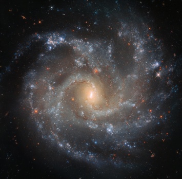Фото дня: обитель сверхновых звезд