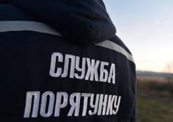 Эхо войны: в Запорожской области опять нашли старые боеприпасы