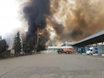 На окраине Одессы снова полыхает сухостой: огонь вплотную подобрался к газовой АЗС