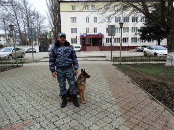 В Саках служебная собака Флаффи вывела полицейских на след похитителя