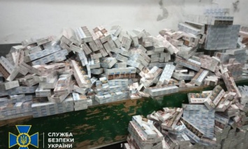 Во Львовской области задержали контрабандиста сигарет