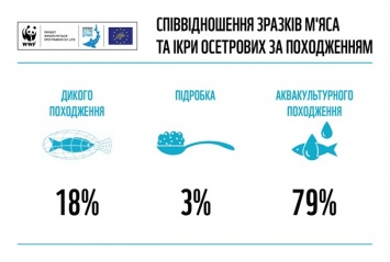 Почти 20% черной икры и осетра в Украине изготовлены нелегально