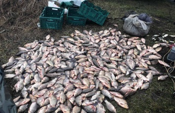 На Днепропетровщине мужчина наловил 70 килограммов рыбы