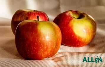 Украинские яблоки едят на Мальдивах