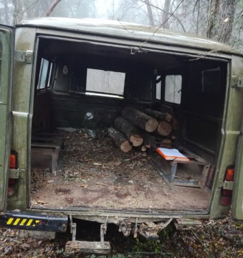 Лесной охраной пресечены факты незаконной заготовки дров в Белогорском районе