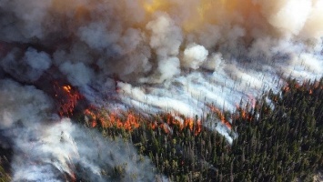 С начала года в Крыму зафиксировано уже три лесных пожара, - МЧС