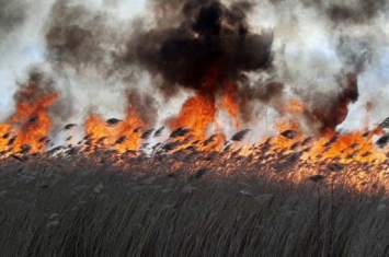 Днепропетровщину охватили пожары (ФОТО, ВИДЕО)