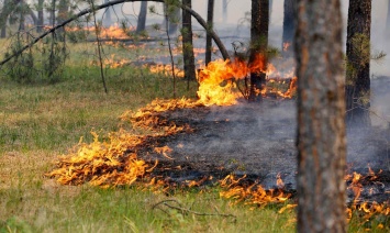 В Днепропетровской области более 800 раз горели поля