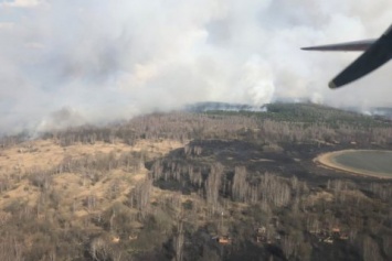 Лесной пожар в Чернобыльской зоне потушен