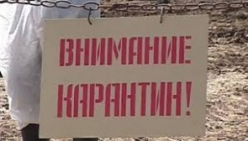 Территорию Мелитополя признали карантинной зоной - что это значит для жителей города и приезжих (фото)