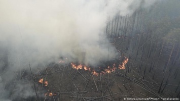 Чем опасен пожар в Чернобыльской зоне отчуждения