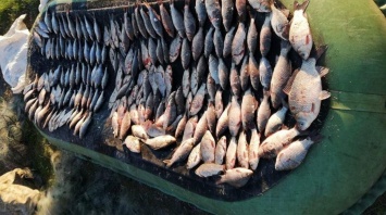 В Верхнеднепровском районе задержали рыбаков-браконьеров
