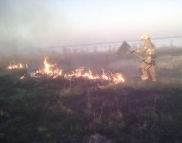 От поджога сухостоя мог сгореть лес в Бериславском районе