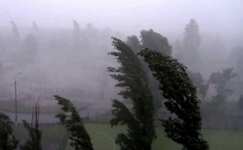 Внезапный ураган засыпал пылью два города на Волыни (ФОТО, ВИДЕО)