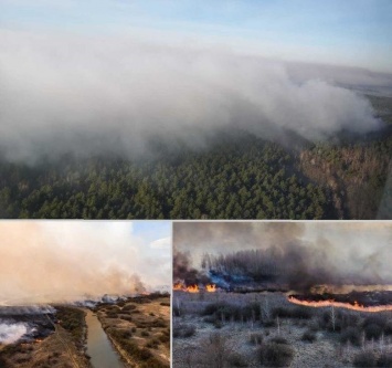 В Харьковской области продолжают уничтожать гектары экосистем: полиция расследует поджоги, - ФОТО
