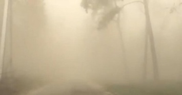 По Киевщине влупила пылевая буря, есть первые жертвы - ВИДЕО