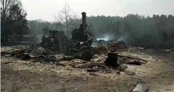 В Житомирской области лесные пожары перекинулись на села, сгорели 35 домов (ФОТО, ВИДЕО)