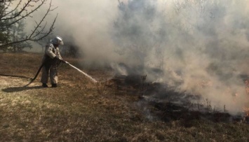 На Житомирщине локализовали часть лесных пожаров